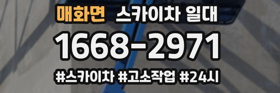 매화면 스카이차 일대