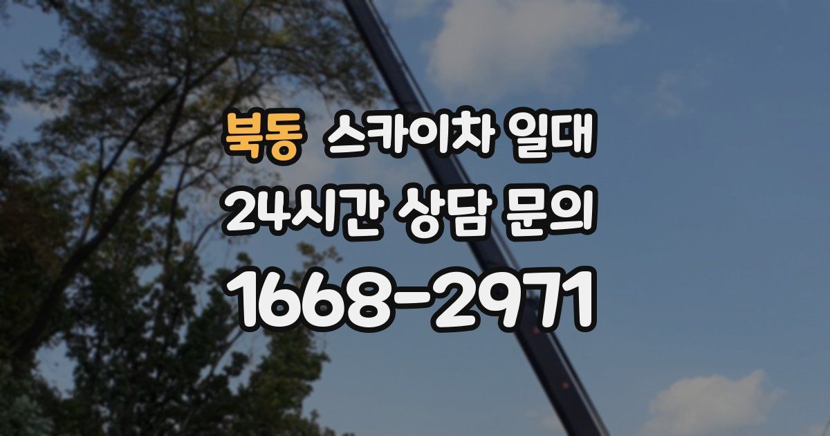 북동 스카이차 일대