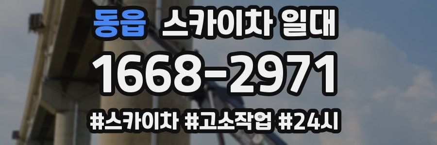 동읍 스카이차 일대