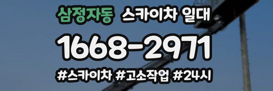삼정자동 스카이차 일대