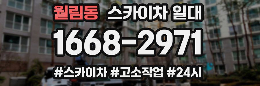 월림동 스카이차 일대