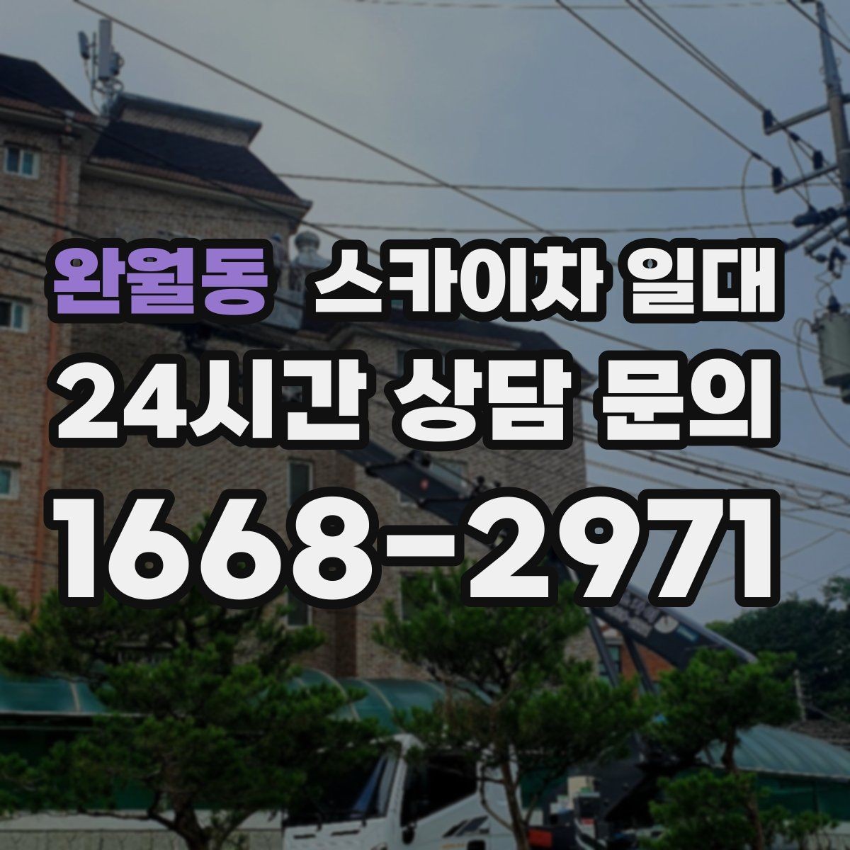 완월동 스카이차 일대 일정 변경이 잦을 때 대처 방식