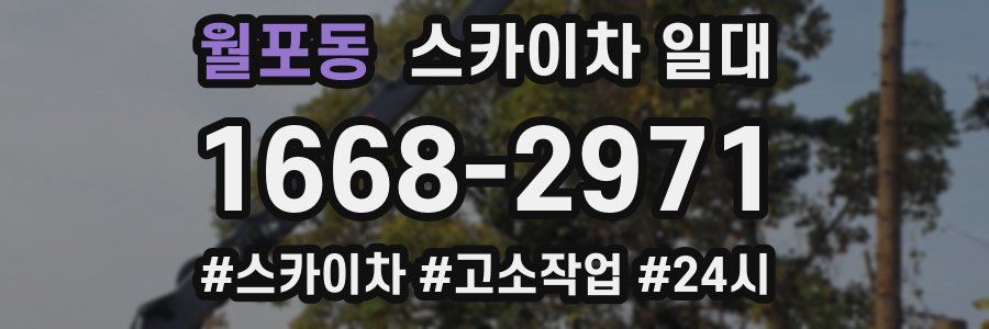 월포동 스카이차 일대