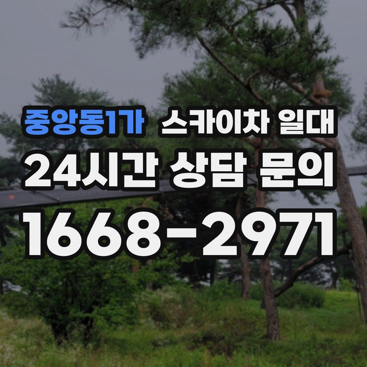 중앙동1가 스카이차 일대 장비 투입 전 확인 순서