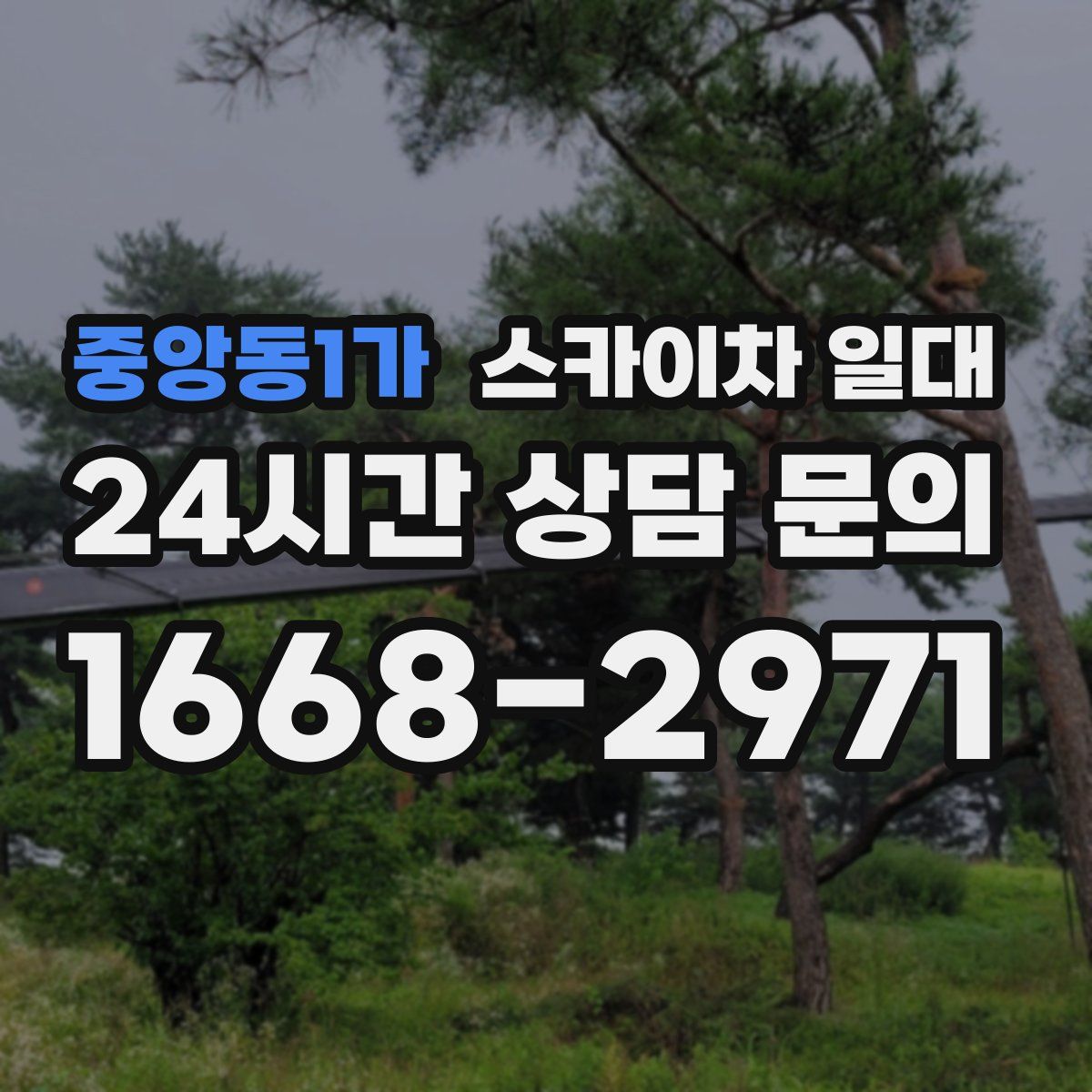 중앙동1가 스카이차 일대