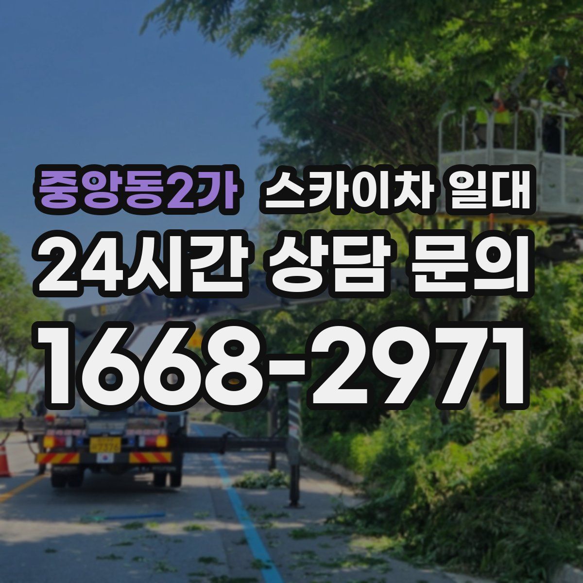 중앙동2가 스카이차 일대