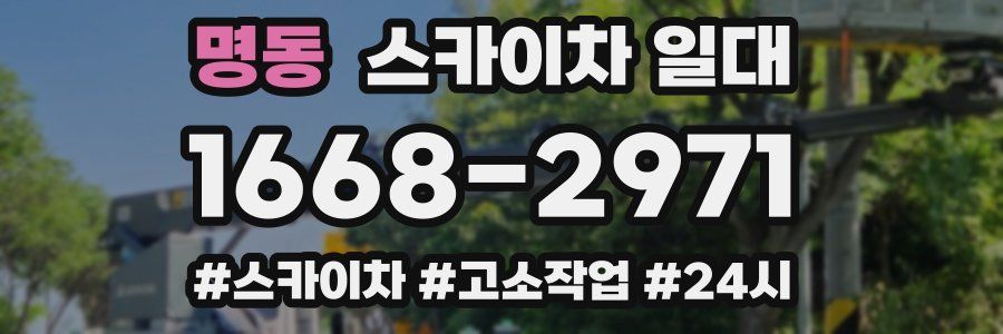 명동 스카이차 일대