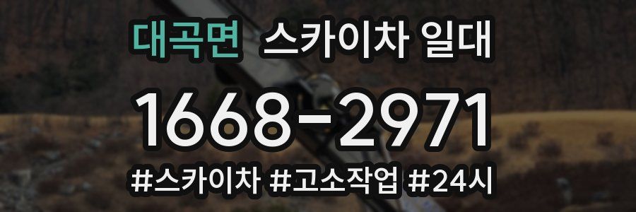 대곡면 스카이차 일대