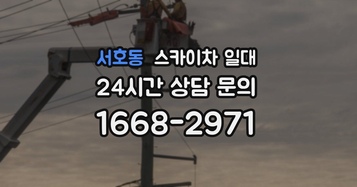 서호동 스카이차 일대