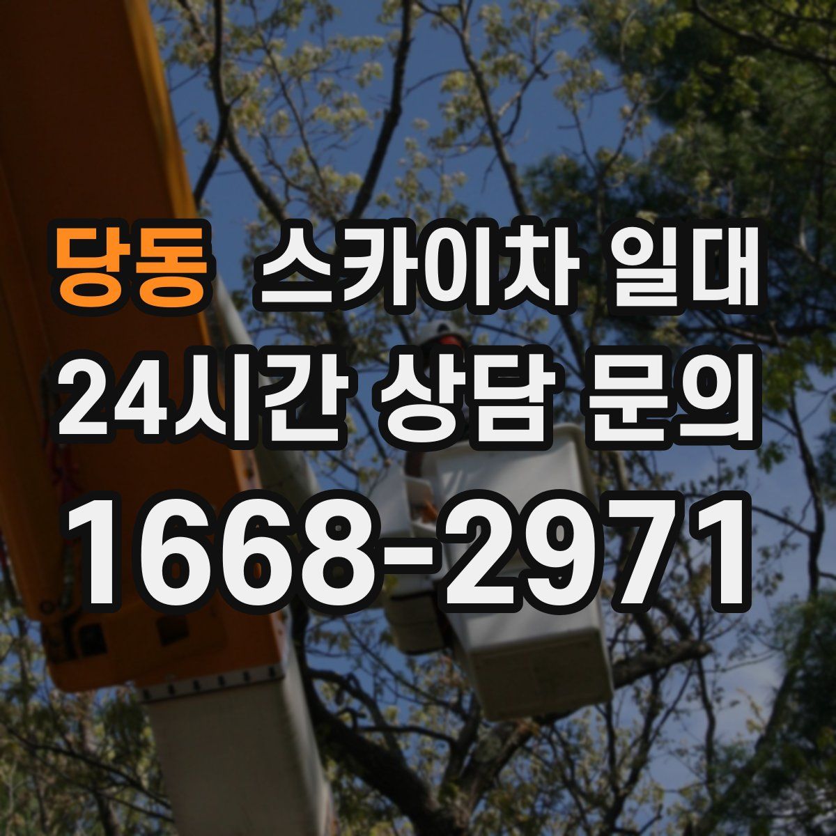 당동 스카이차 일대