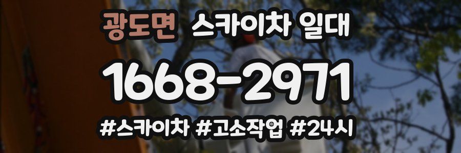 광도면 스카이차 일대