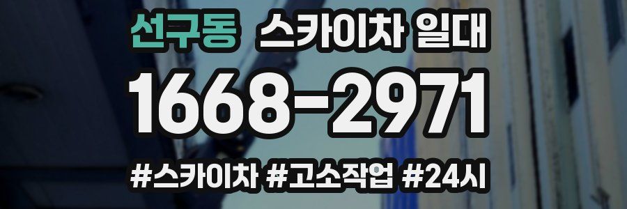 선구동 스카이차 일대
