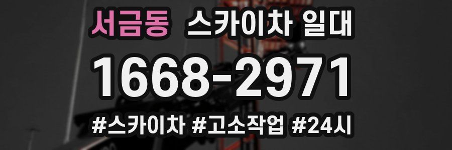 서금동 스카이차 일대