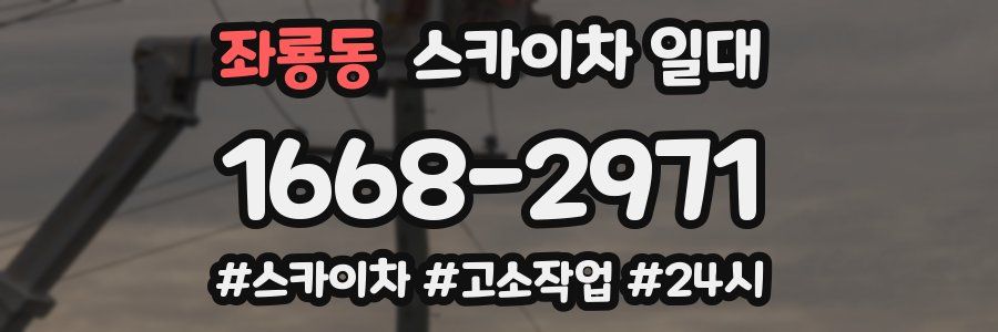 좌룡동 스카이차 일대