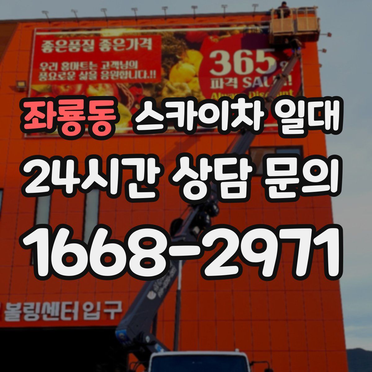 좌룡동 스카이차 일대
