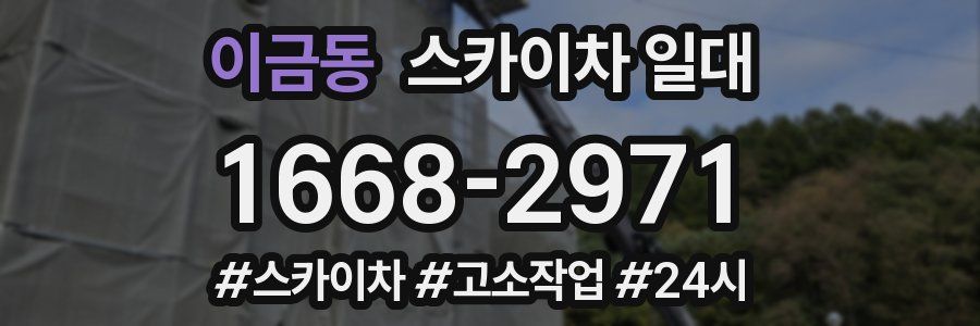 이금동 스카이차 일대