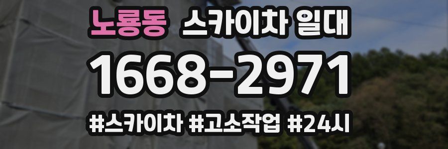 노룡동 스카이차 일대