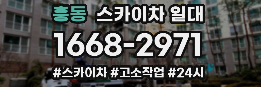 흥동 스카이차 일대