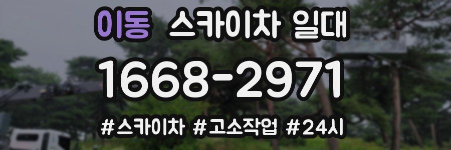 이동 스카이차 일대