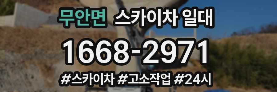 무안면 스카이차 일대