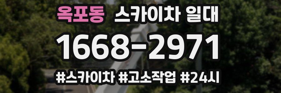 옥포동 스카이차 일대