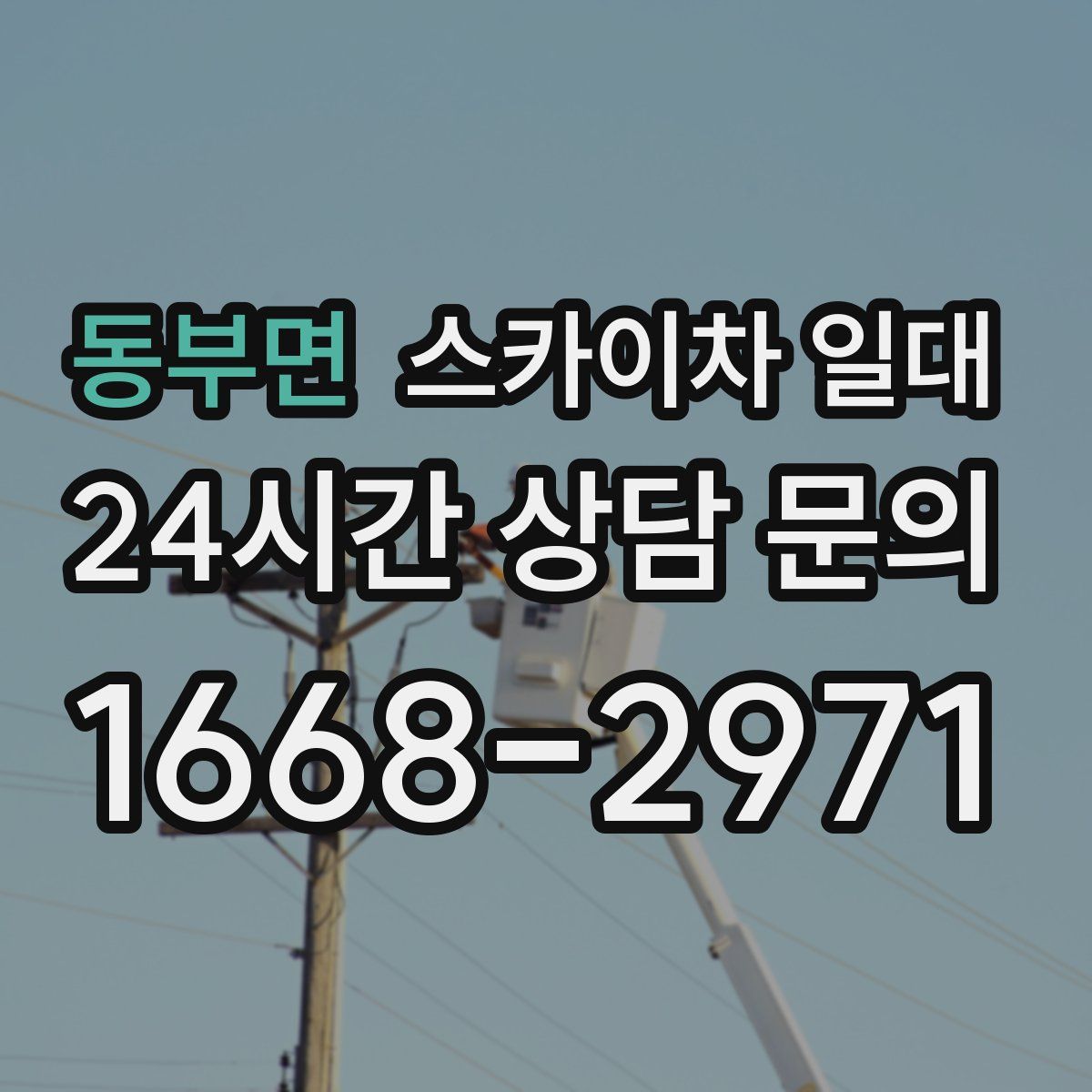 동부면 스카이차 일대