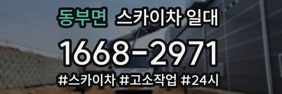동부면 스카이차 일대