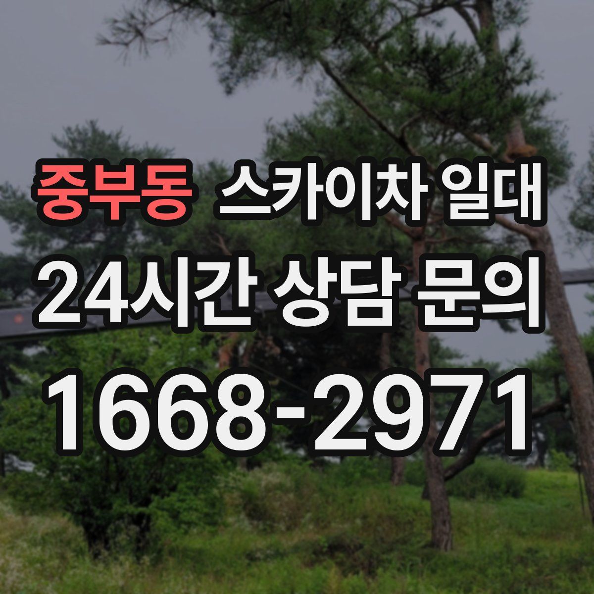 중부동 스카이차 일대