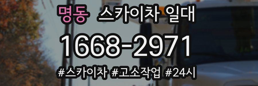 명동 스카이차 일대