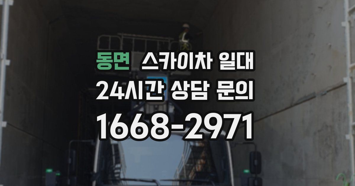 동면 스카이차 일대