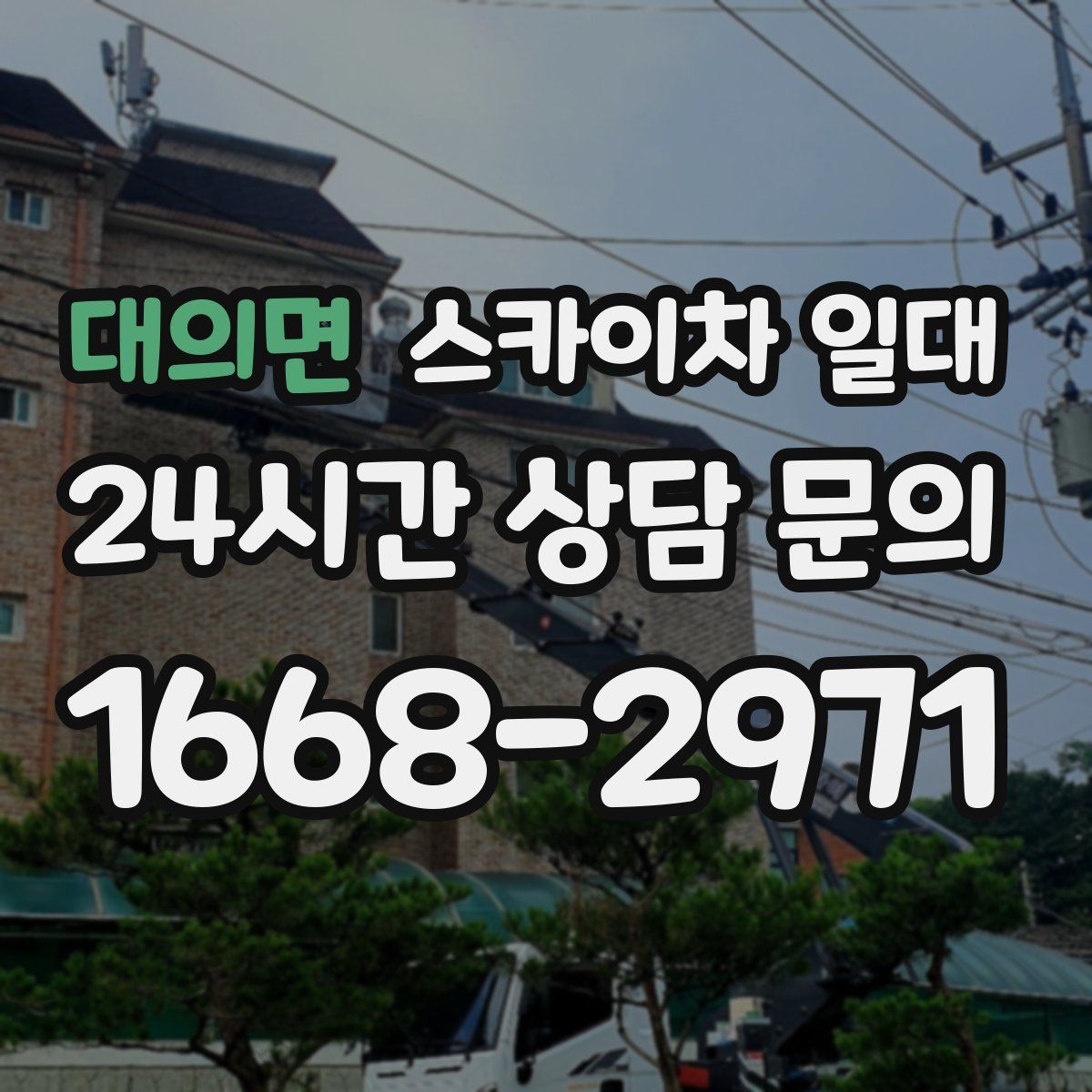대의면 스카이차 일대