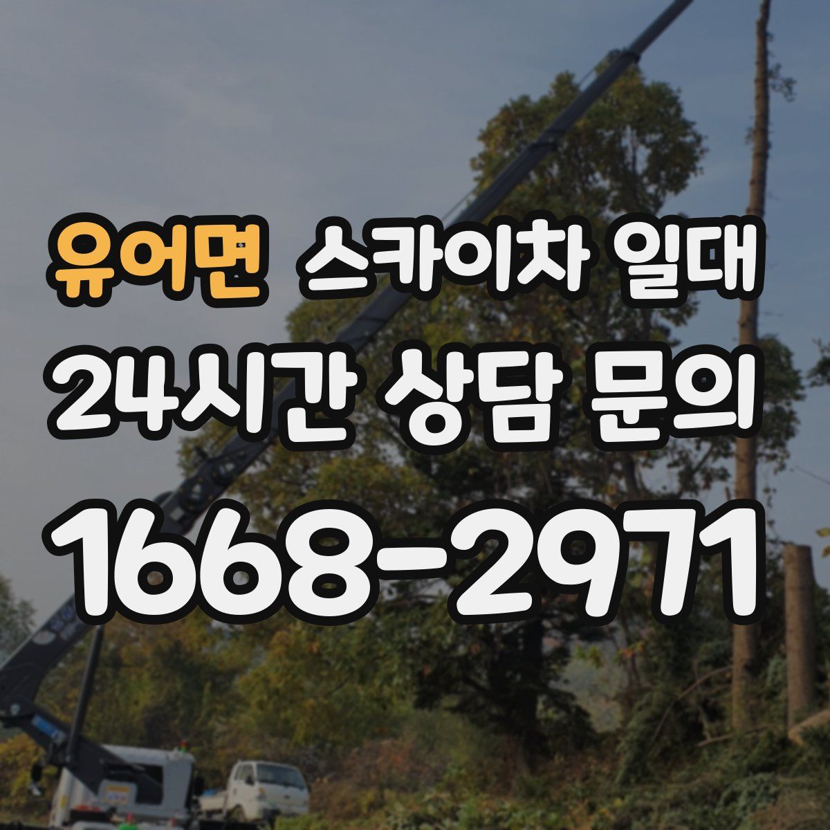 유어면 스카이차 일대