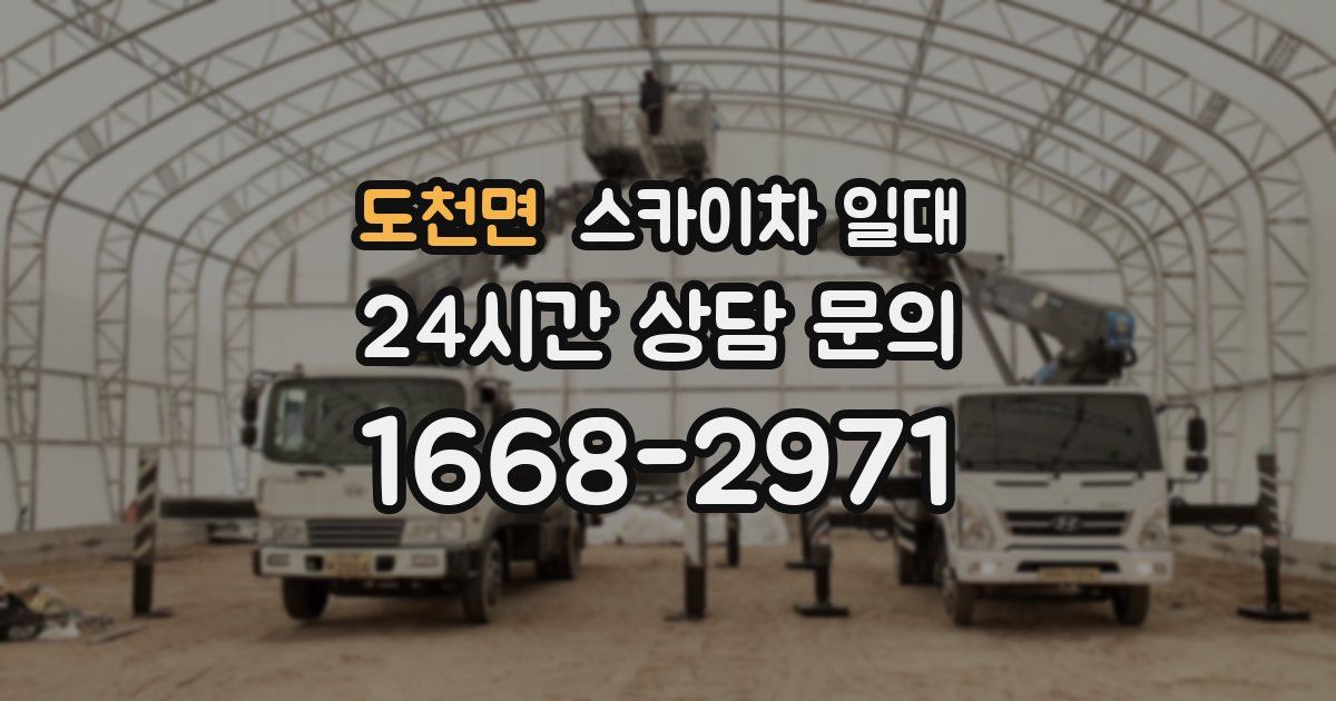 도천면 스카이차 일대