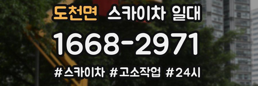 도천면 스카이차 일대