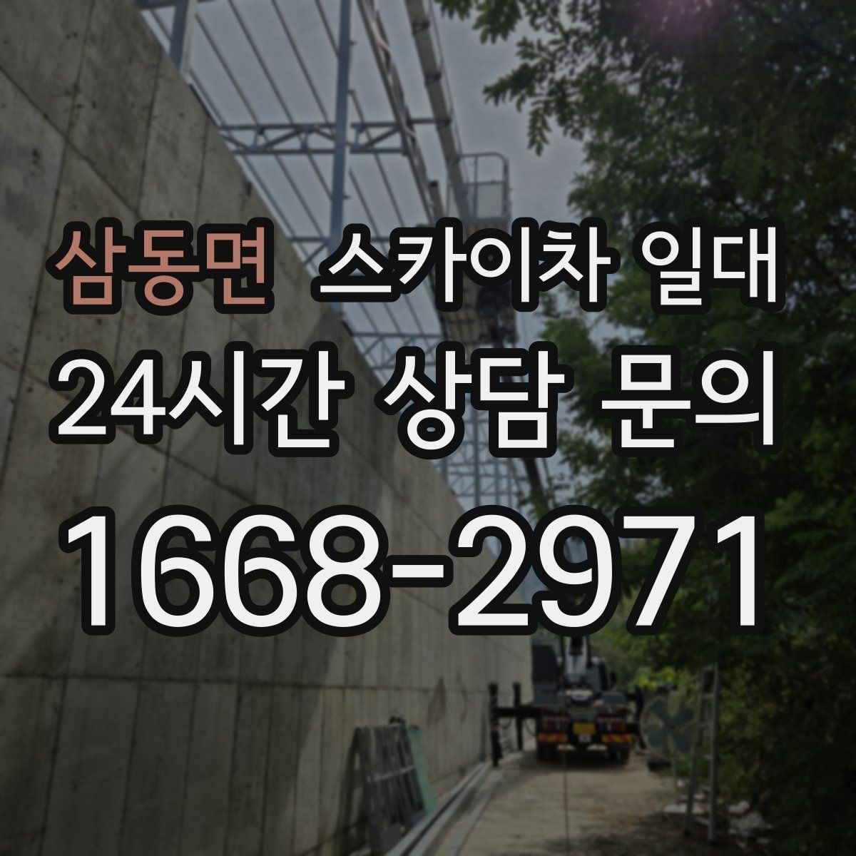 삼동면 스카이차 일대