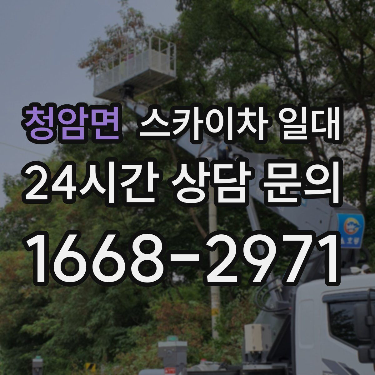 청암면 스카이차 일대