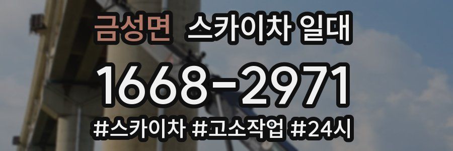 금성면 스카이차 일대