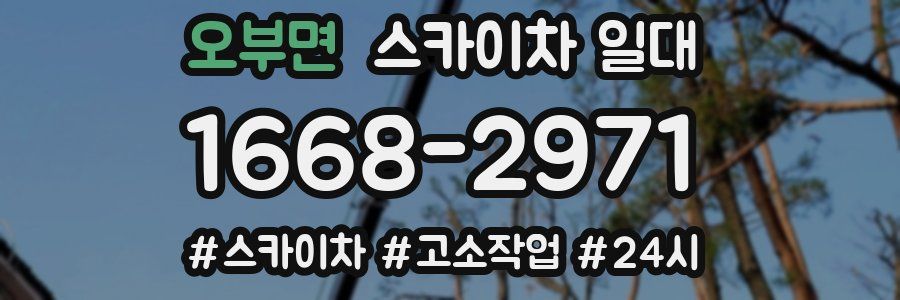 오부면 스카이차 일대