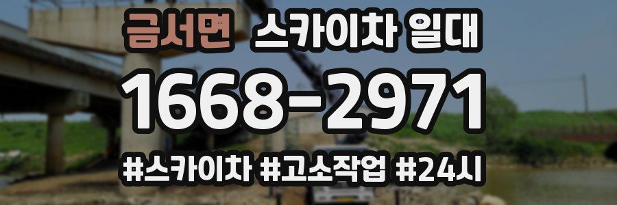 금서면 스카이차 일대