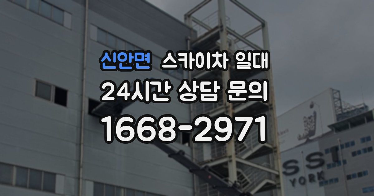 신안면 스카이차 일대