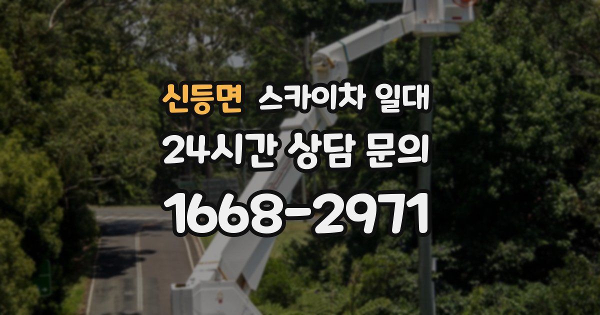 신등면 스카이차 일대