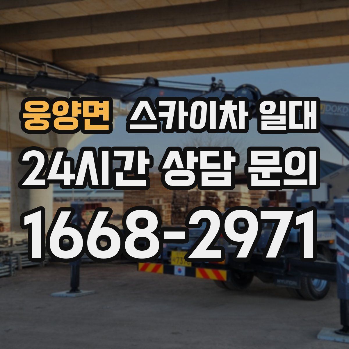 웅양면 스카이차 일대
