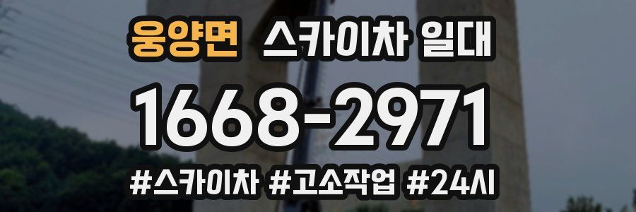 웅양면 스카이차 일대