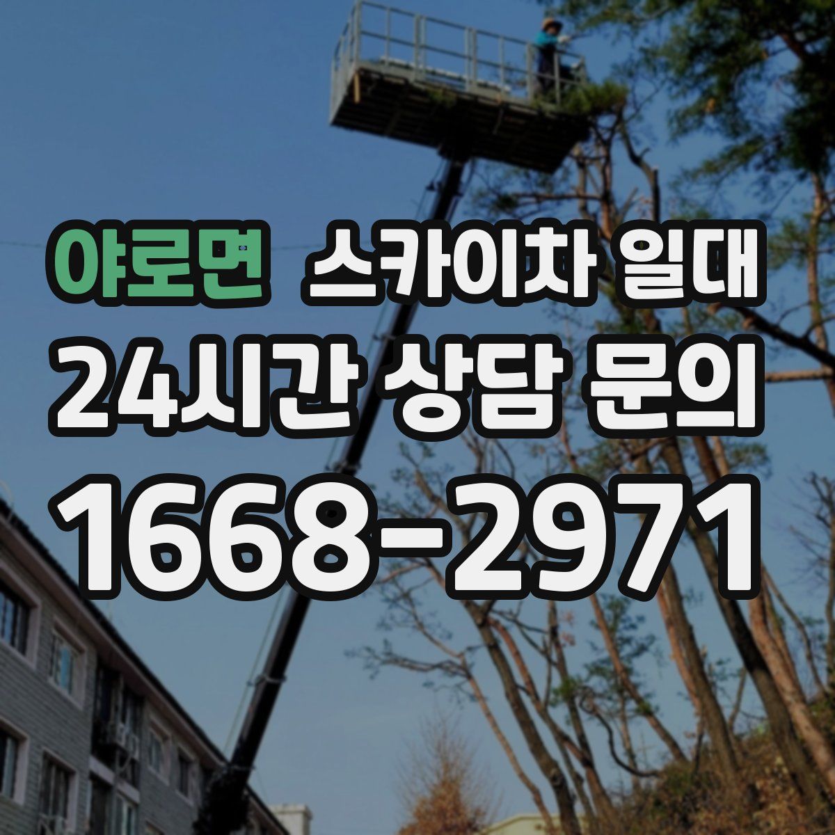 야로면 스카이차 일대