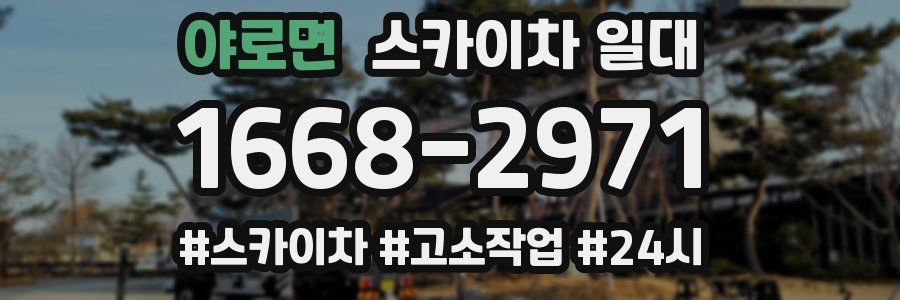 야로면 스카이차 일대