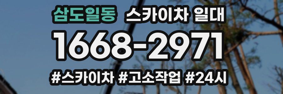 삼도일동 스카이차 일대