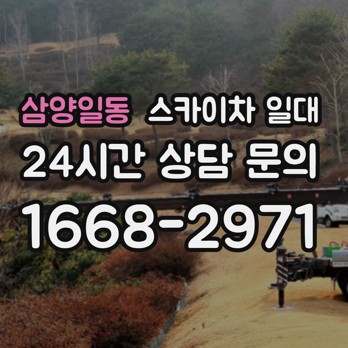 삼양일동 스카이차 일대
