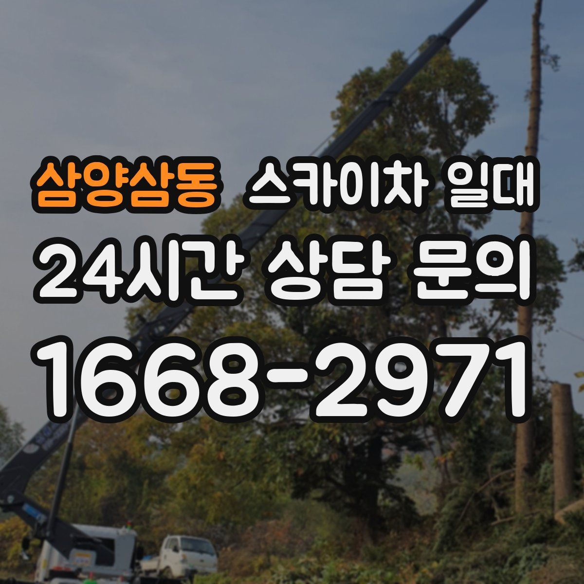 삼양삼동 스카이차 일대