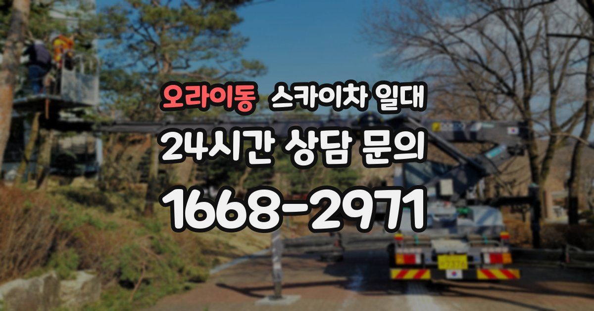 오라이동 스카이차 일대