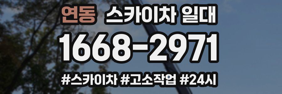 연동 스카이차 일대